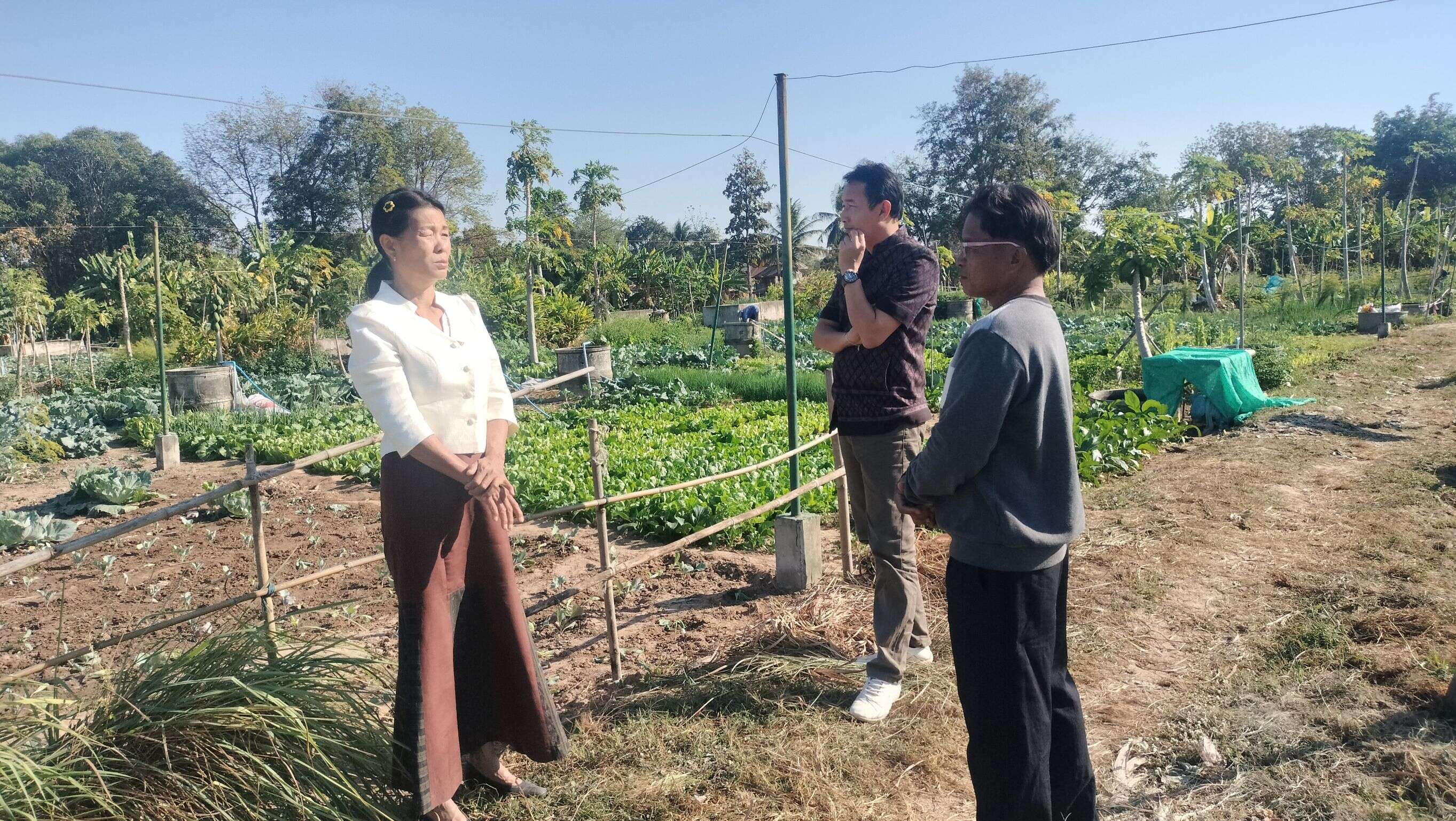 “พช.นาเชือก จ.มหาสารคาม“ ลงพื้นที่ติดตามการปลูกผักสวนครัว เพื่อสร้างความมั่นคงทางอาหาร ตามแนวพระราชดำริของสมเด็จพระกนิษฐาธิราชเจ้า กรมสมเด็จพระเทพรัตนราชสุดาฯ สยามบรมราชกุมารี